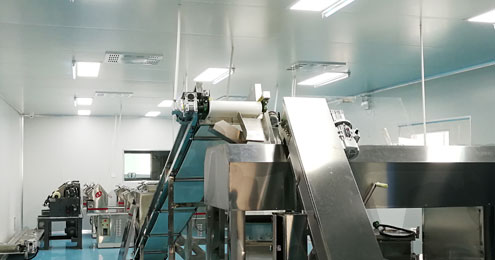 食品凈化車間 食品凈化車間